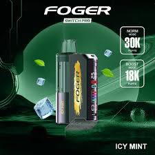 Foger switch pro